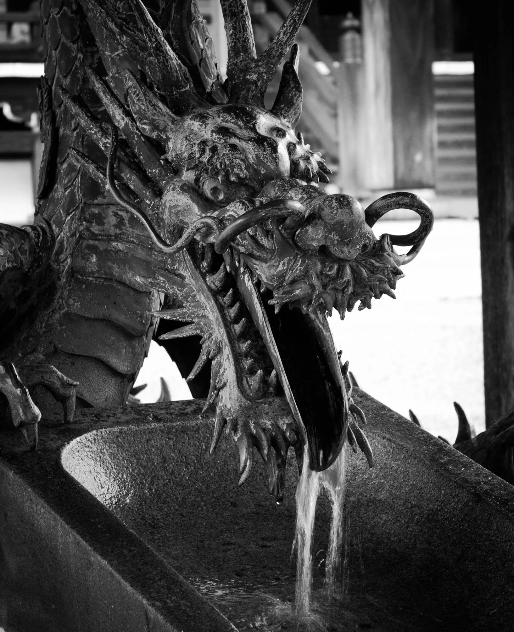 dragon.jpg