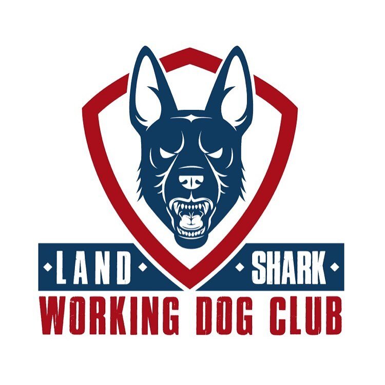New logo design for @lswdc