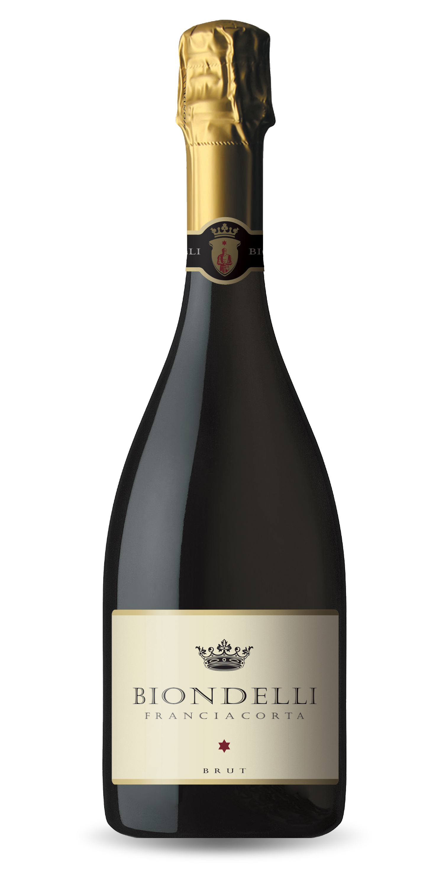Biondelli mockup Brut (1).png