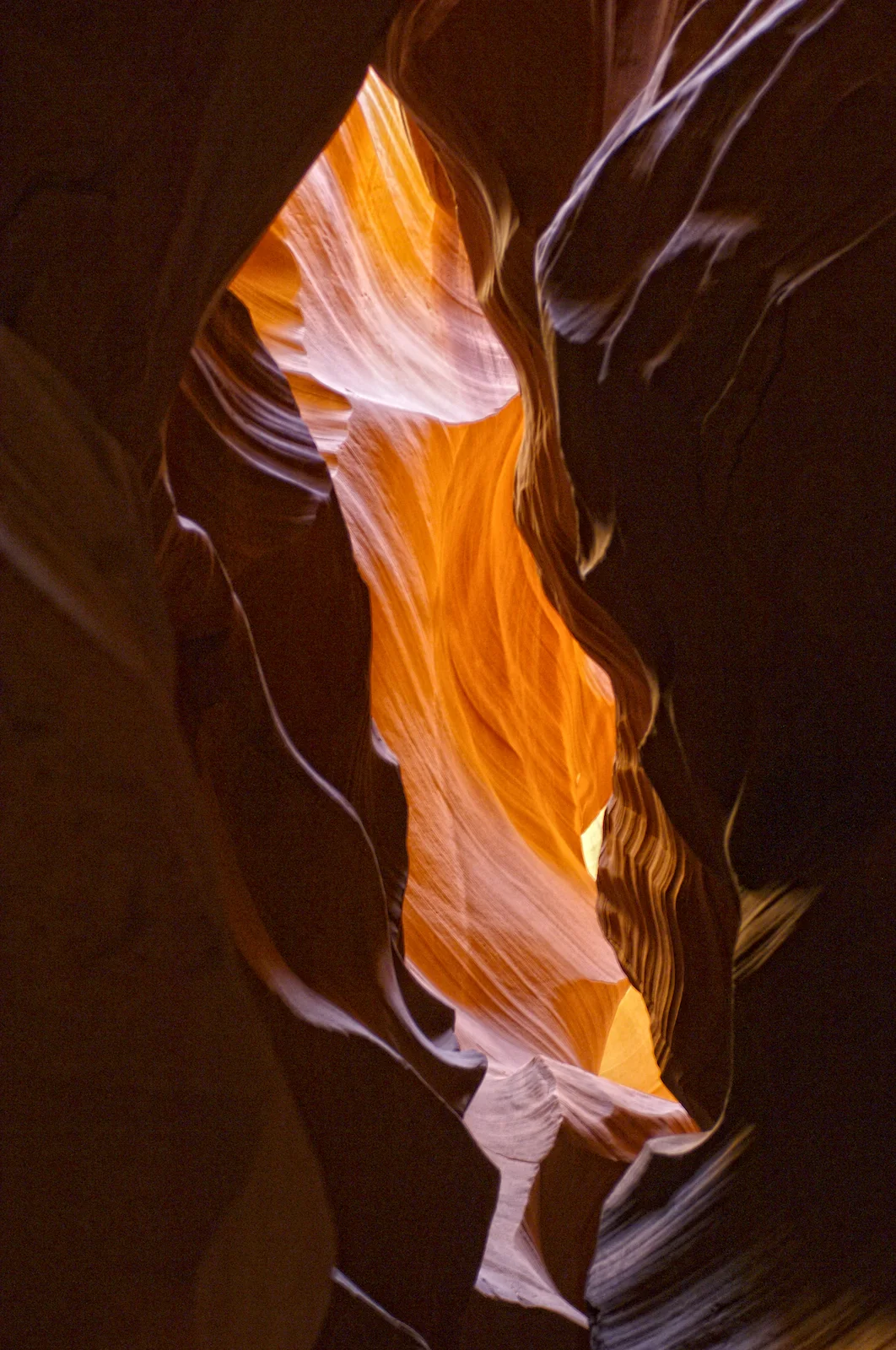 _DSC5784.jpg
