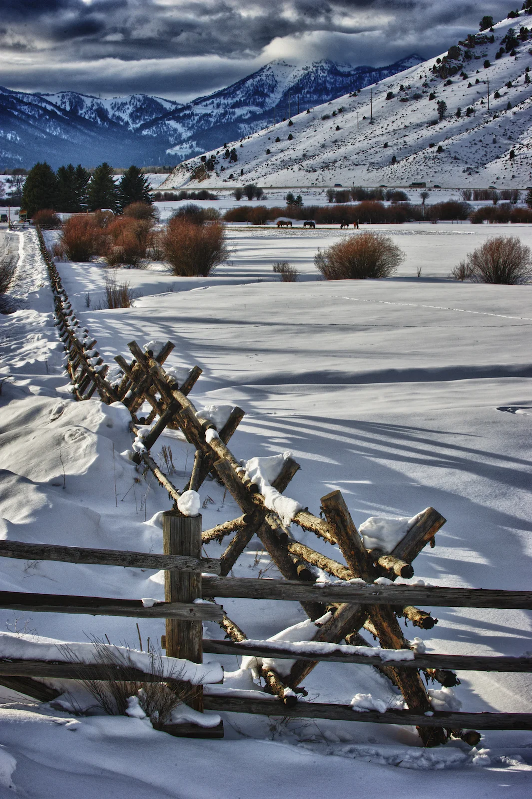 MVP-010711-JacksonHole-002.jpg