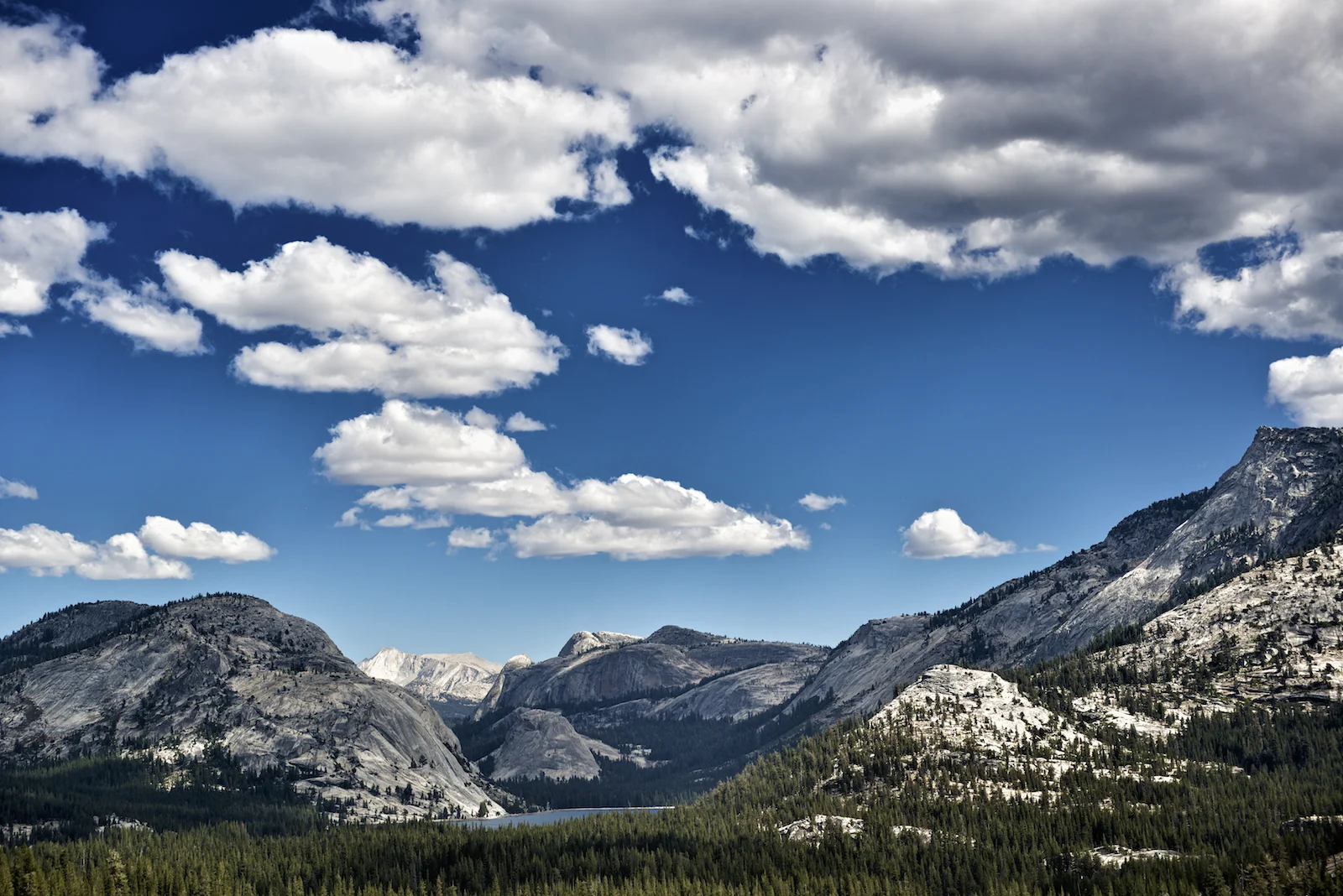 _D800465.jpg
