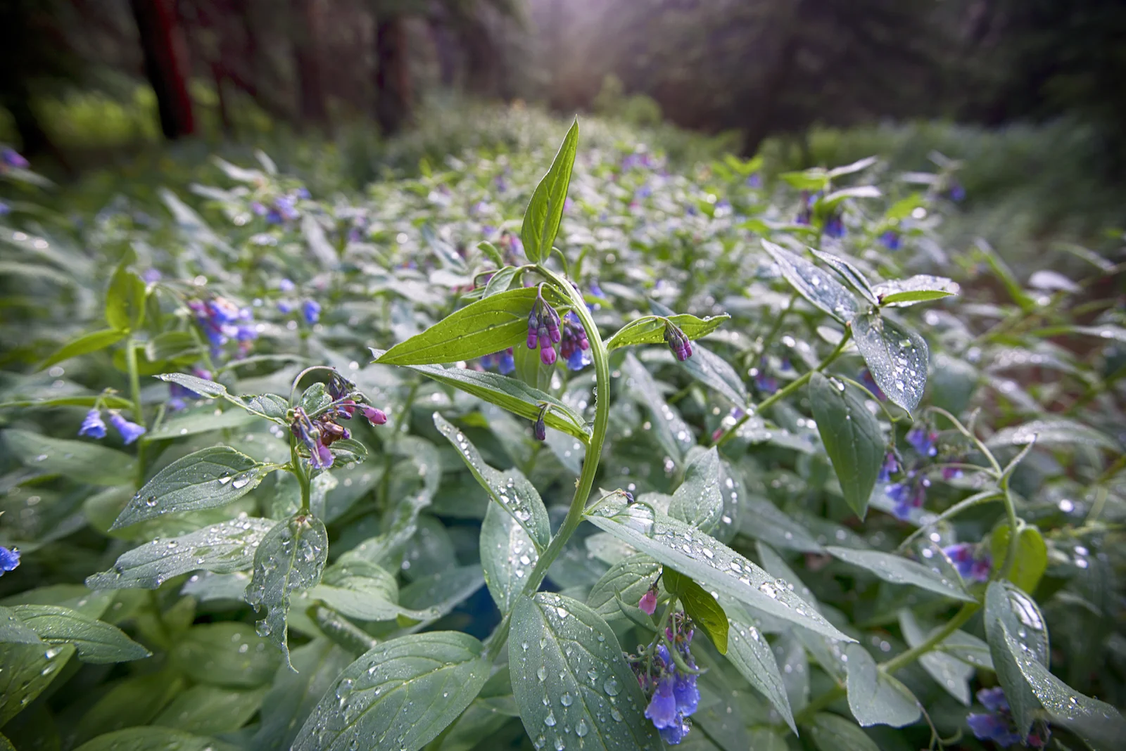 _D801055_HDR.jpg