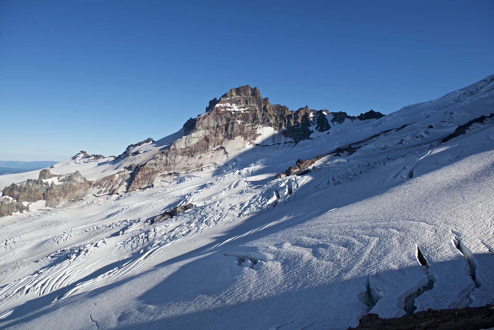 _D801606.jpg