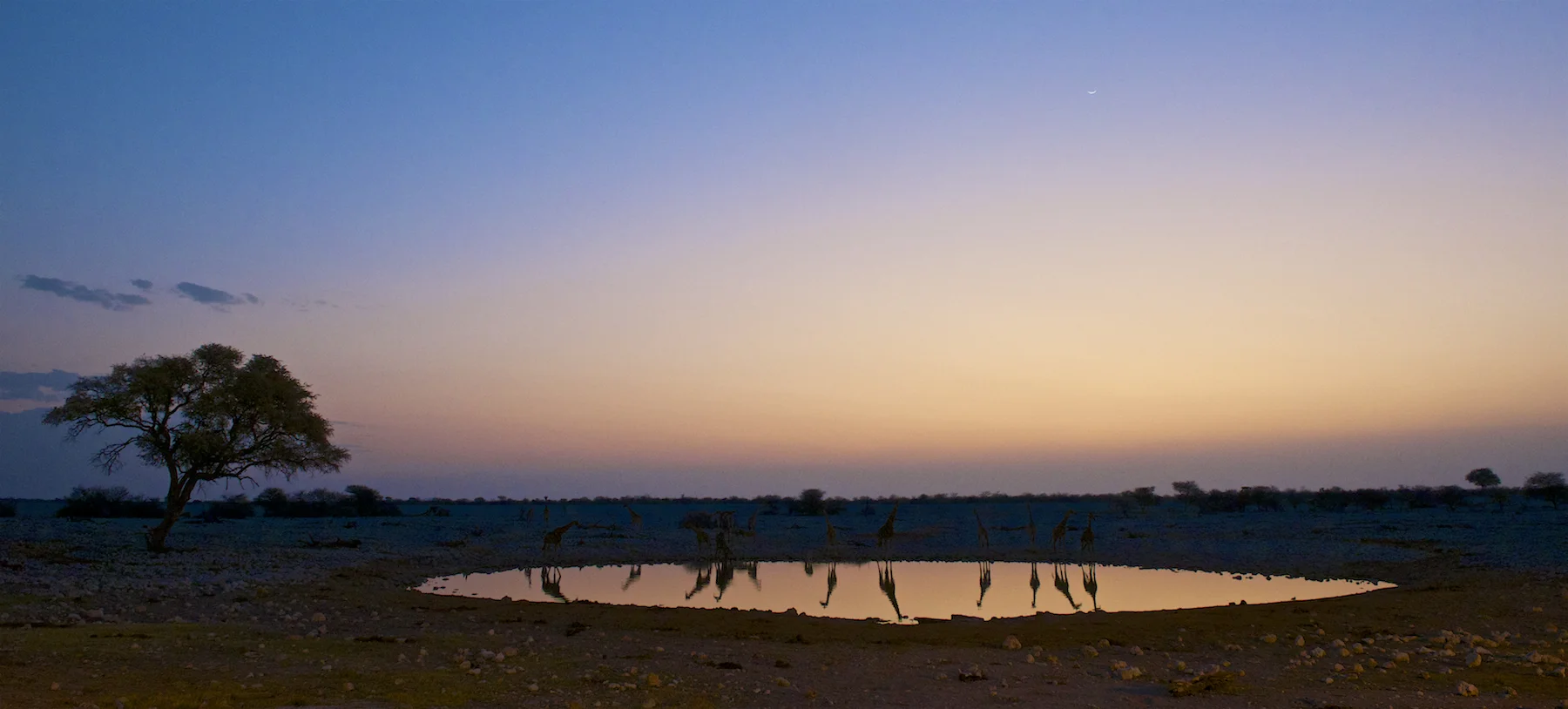africa0026.jpg