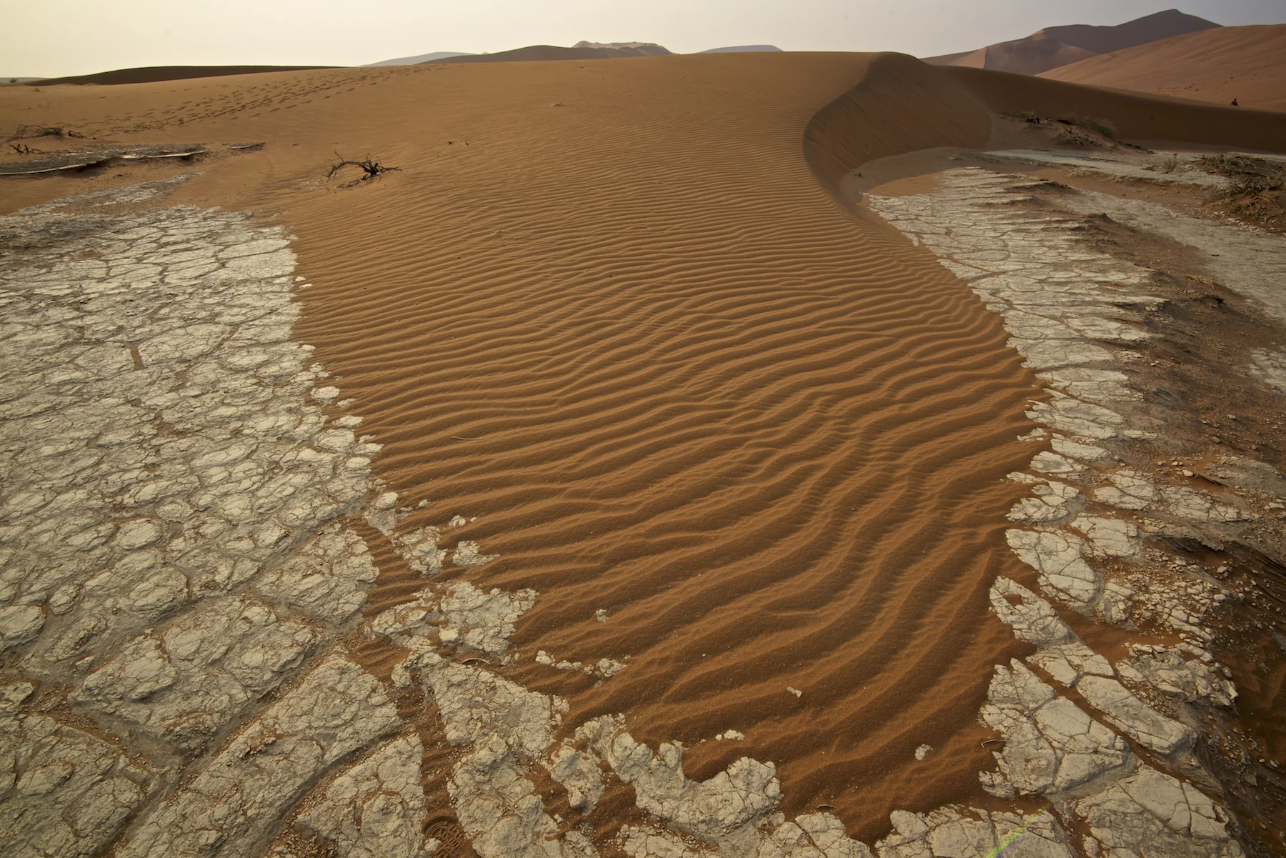 africa0027.jpg