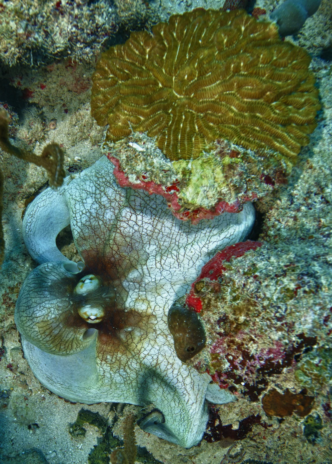 _D805069_HDR.jpg