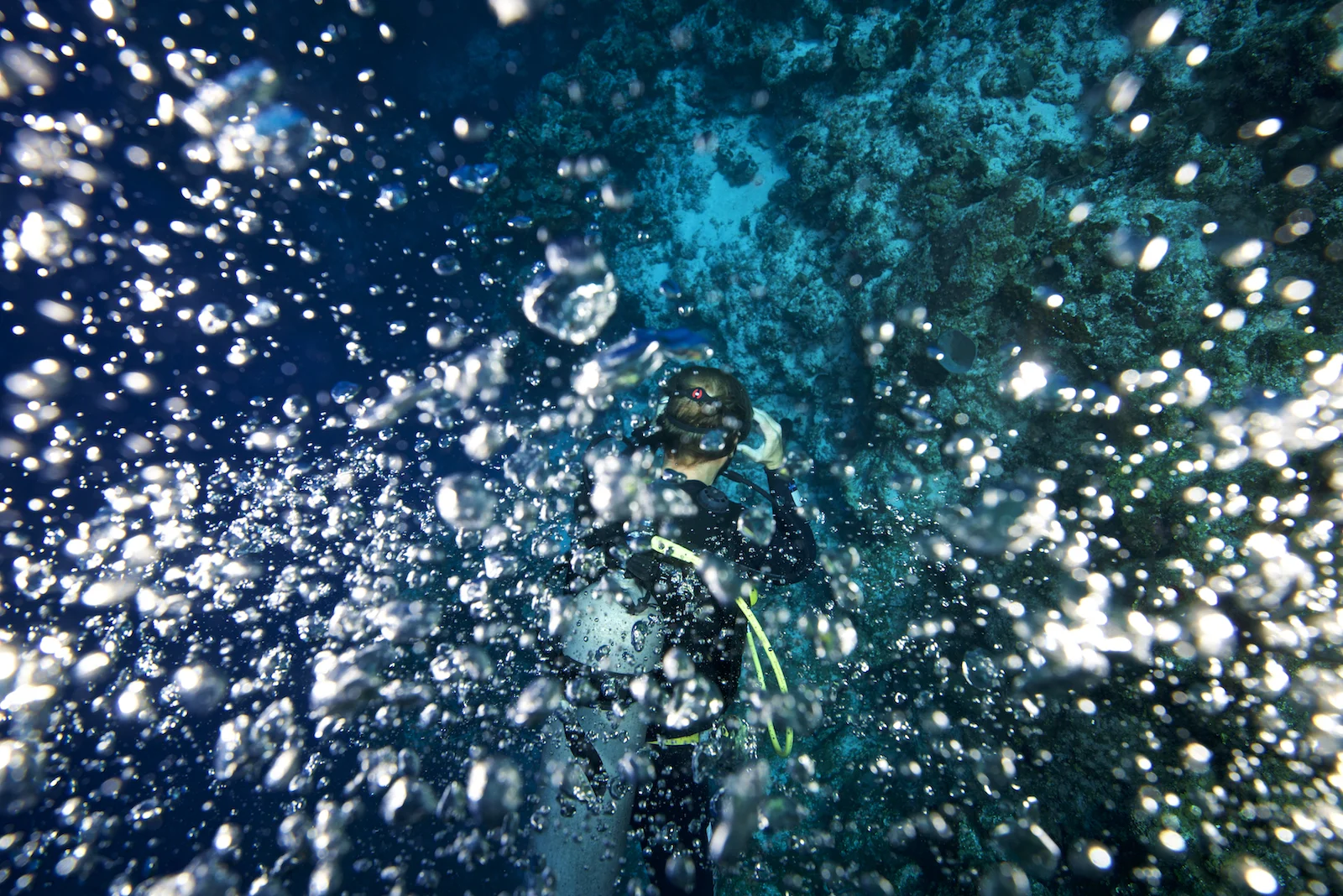 _D805897.jpg