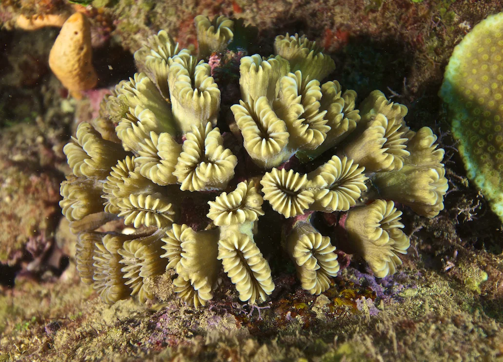 UW0028.jpg
