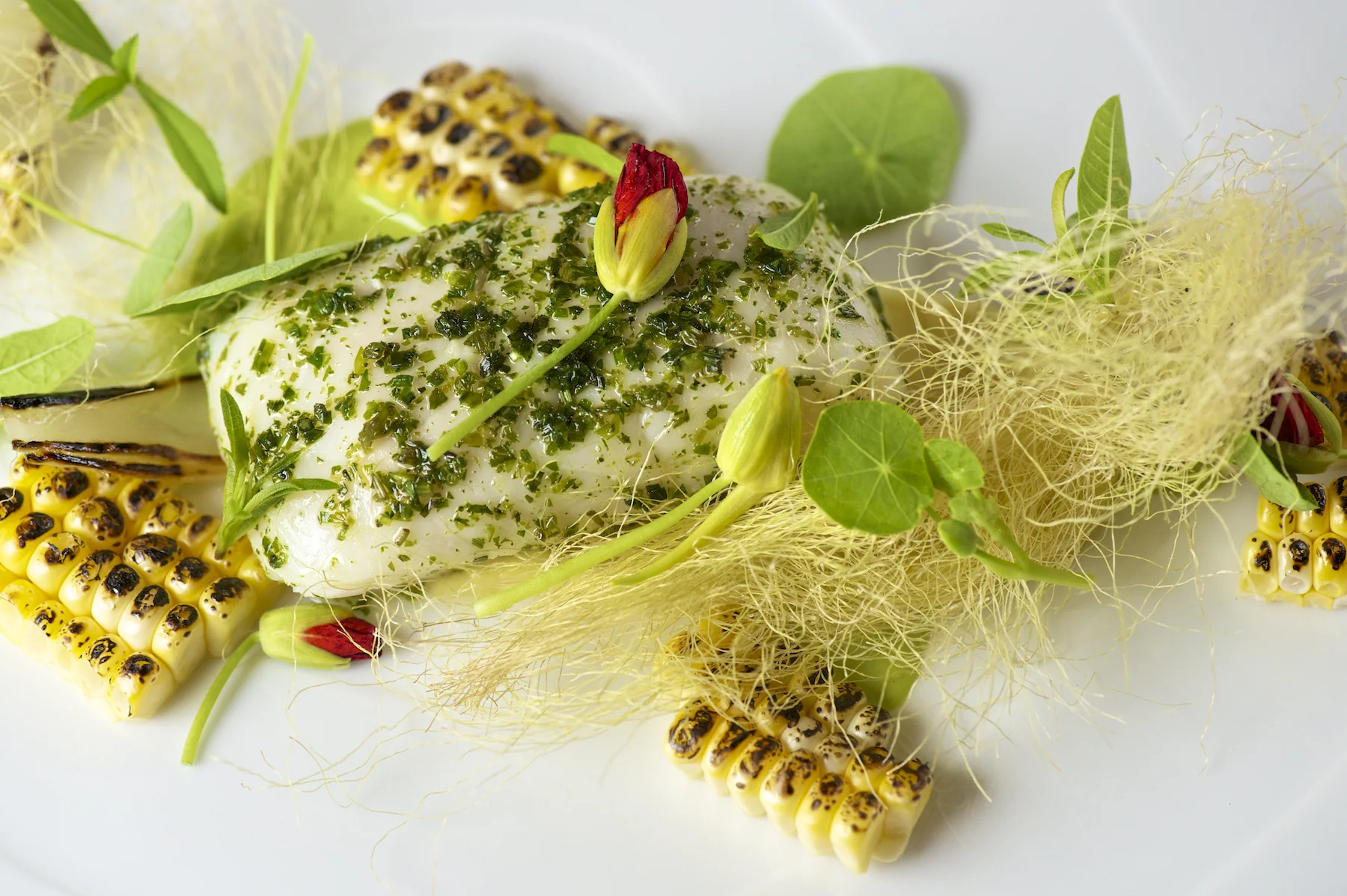 food0008.jpg