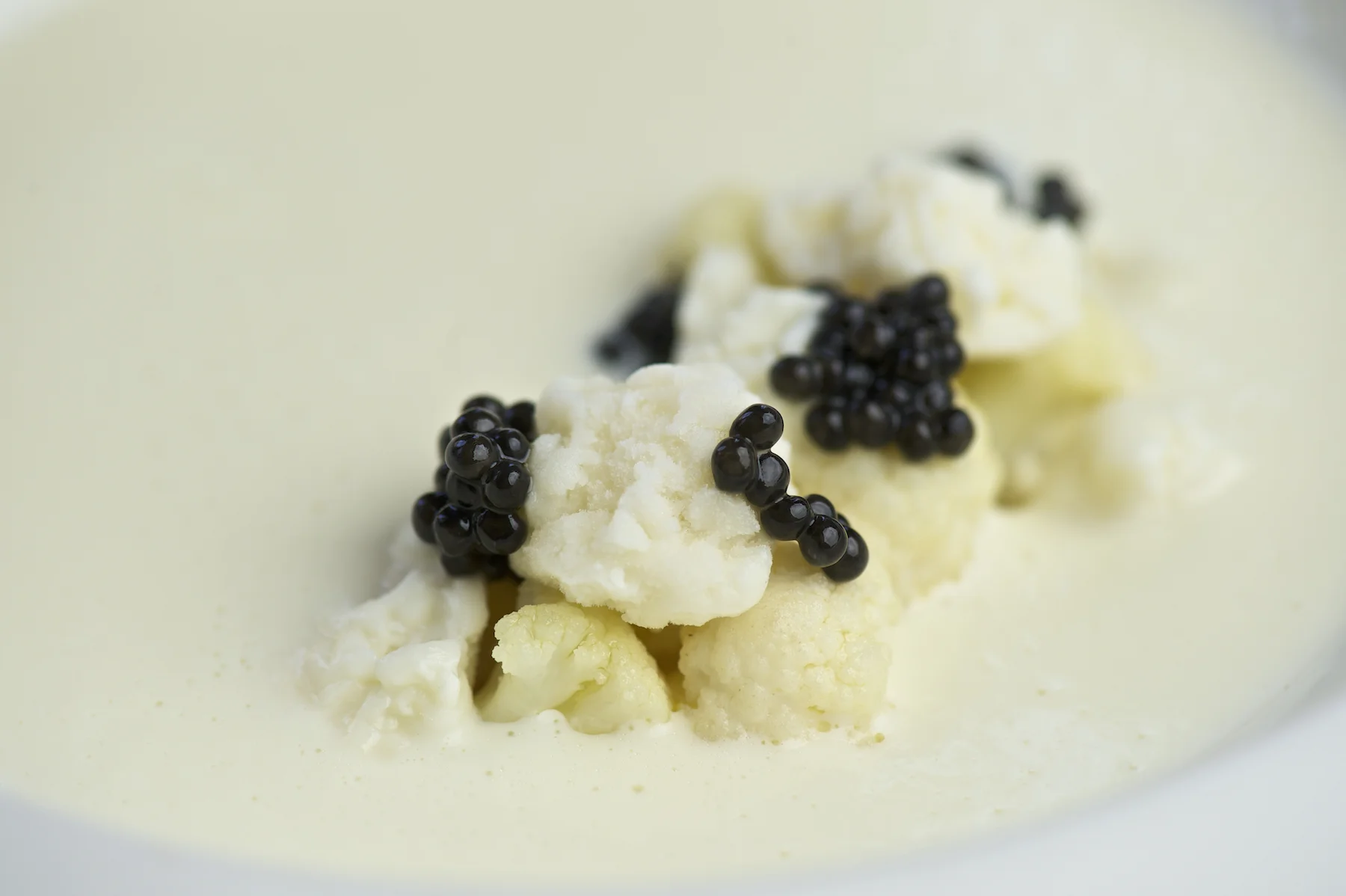 food0038.jpg