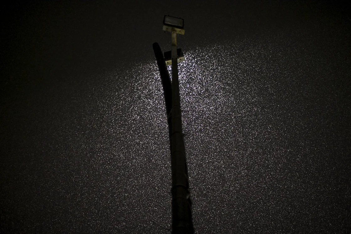 ski0019.jpg