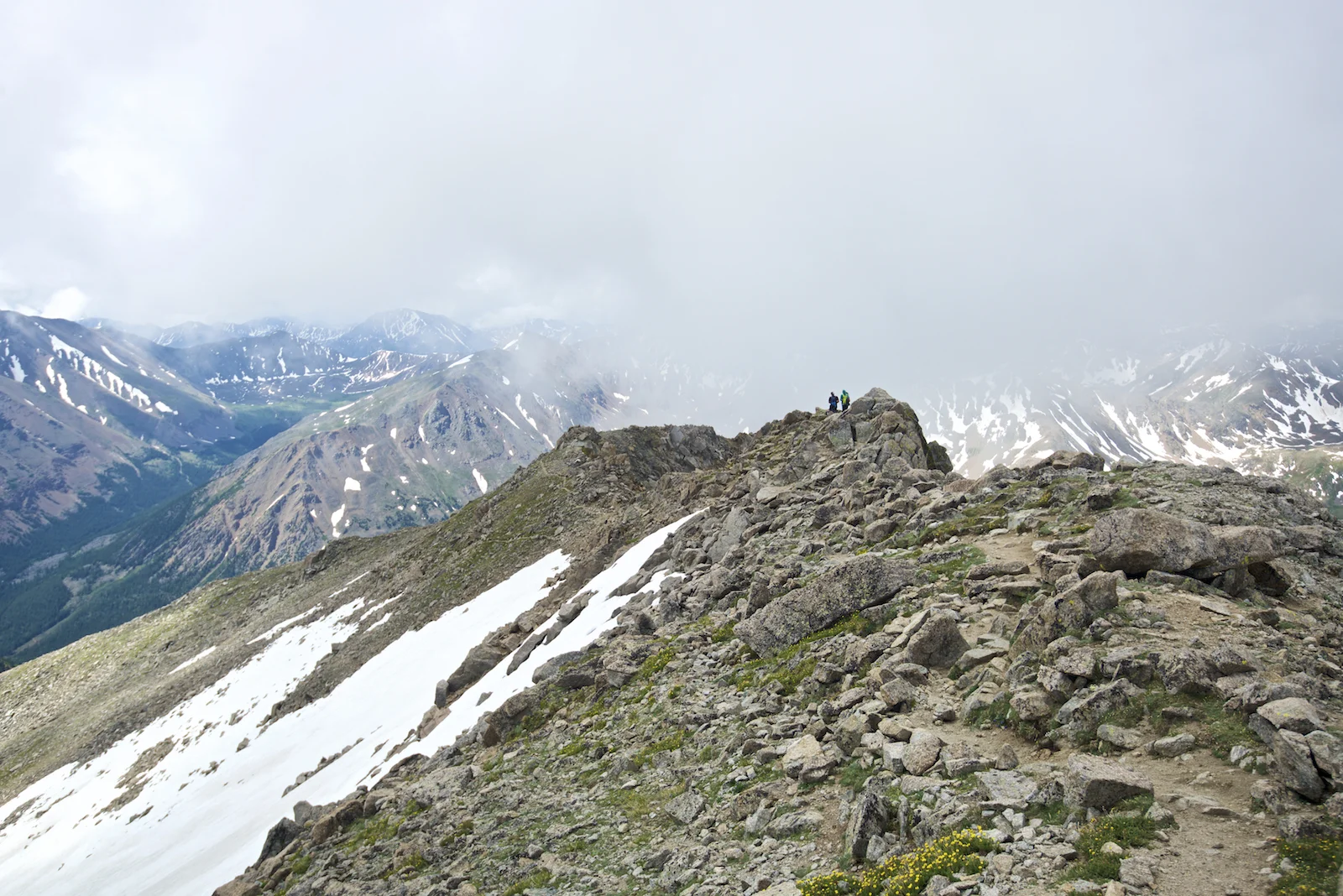 _D801108.jpg
