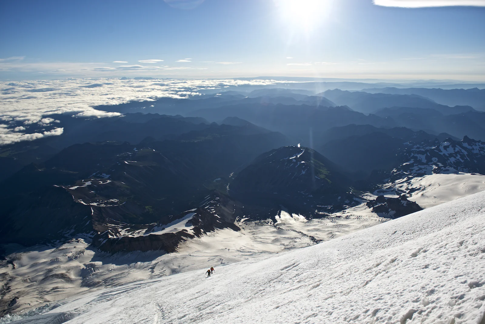 _D801755.jpg