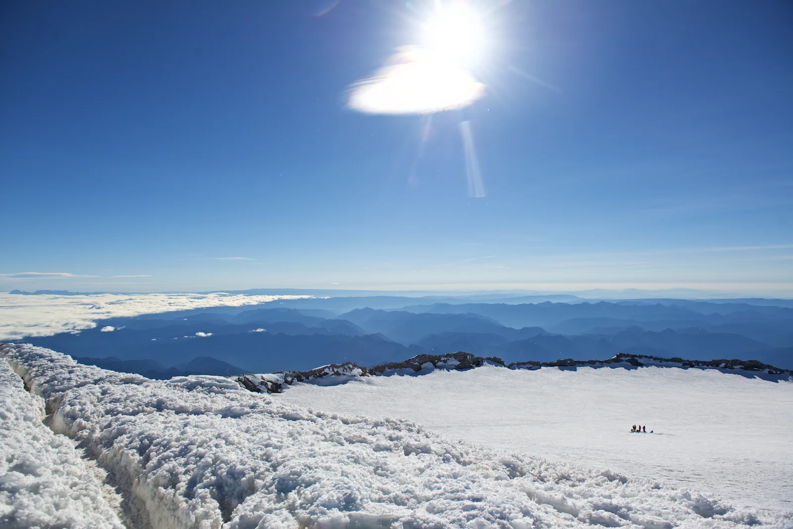 _D801784.jpg