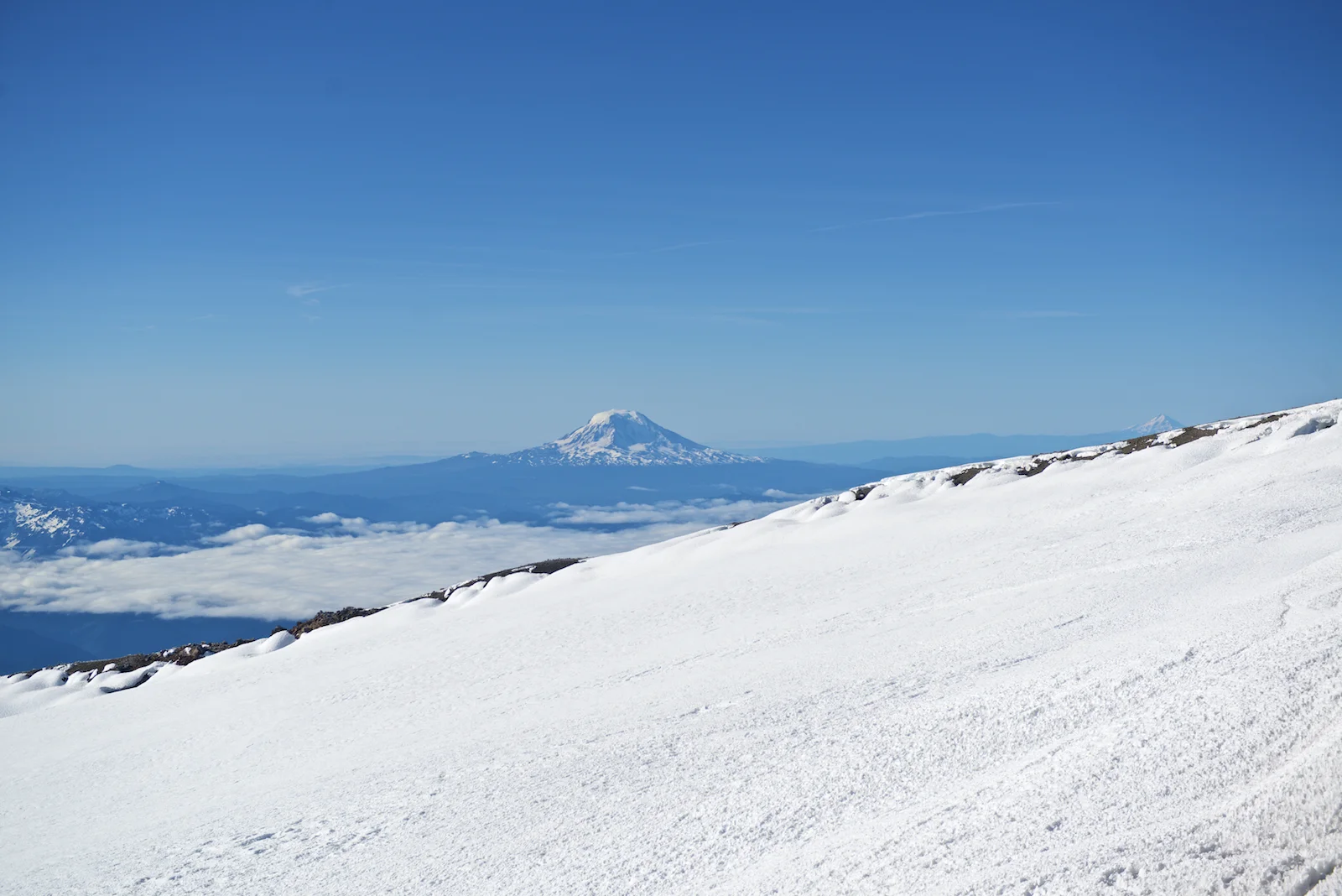 _D801807.jpg