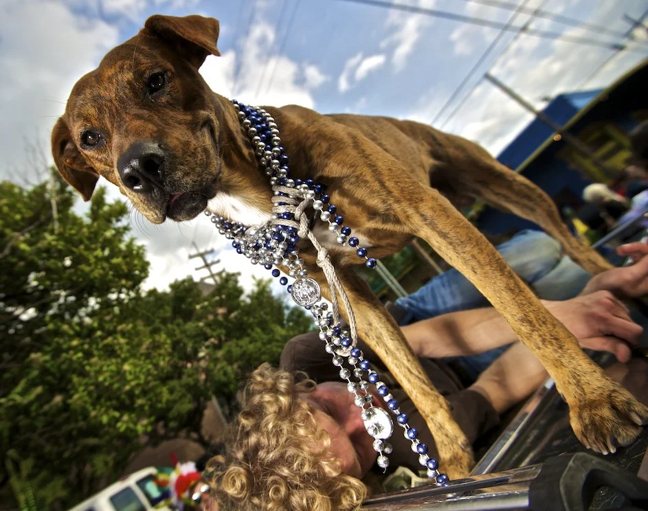 neworleans0005.jpg