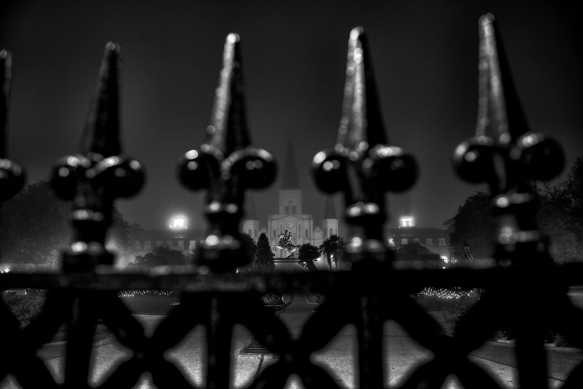 _D805690.jpg