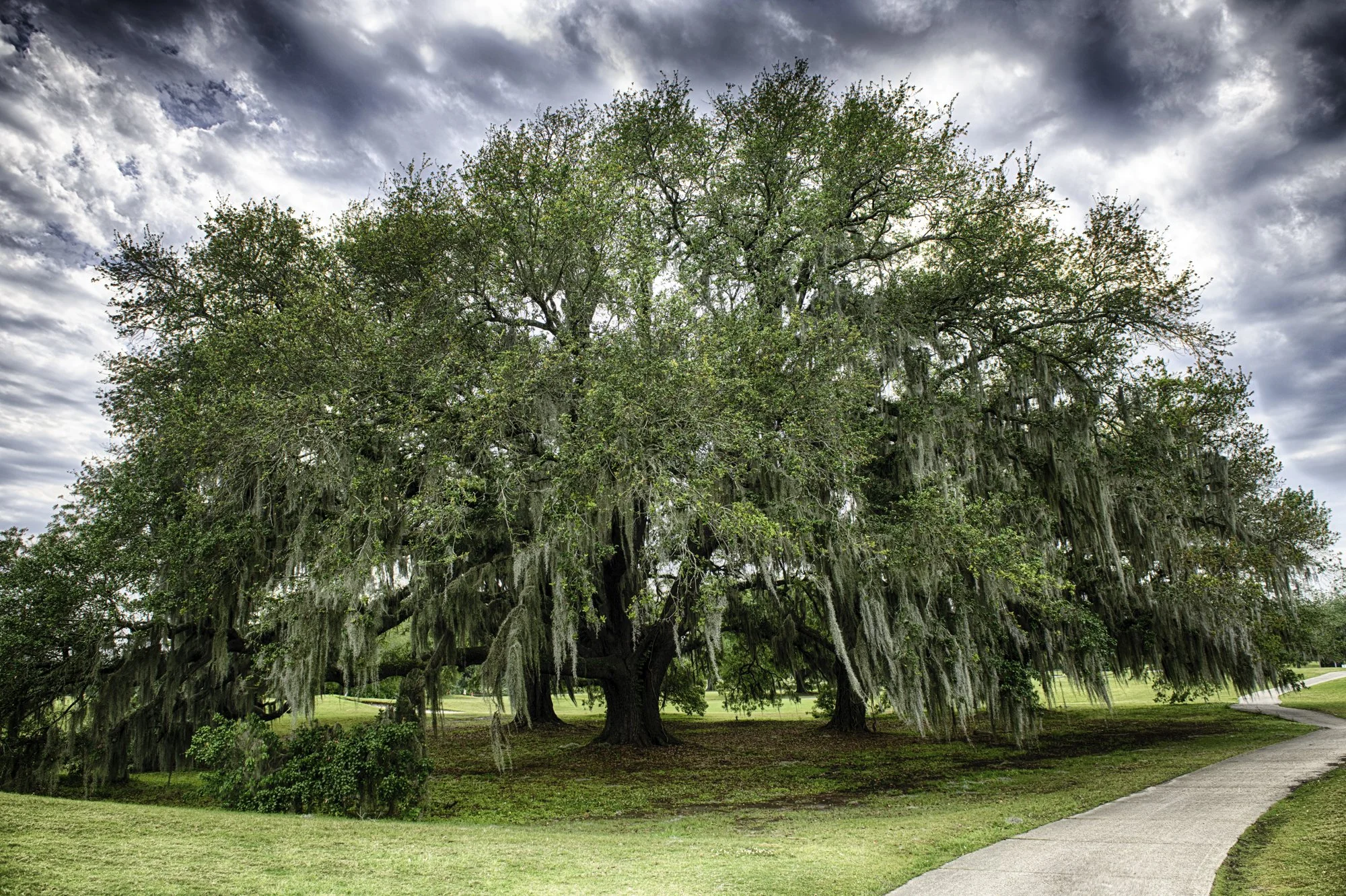 _D859236-Edit_HDR.jpg