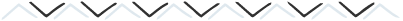 InPageDesignFlourishes-v1-03.png