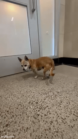 aqojc6.gif