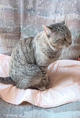 Screenshot 2026-03-06 145600.png