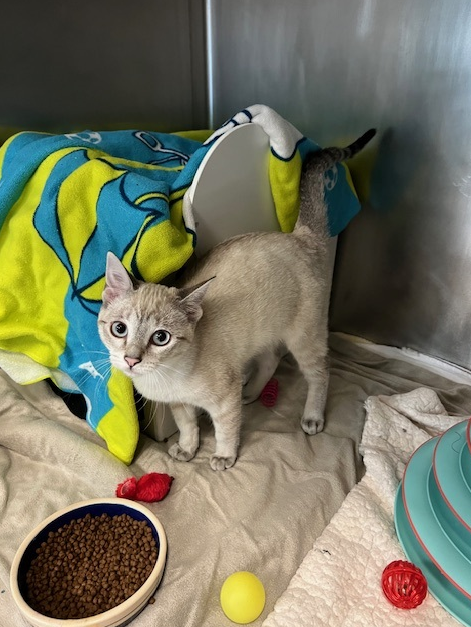 Screenshot 2026-01-12 133255.png