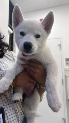 Screenshot 2026-04-06 135217.png