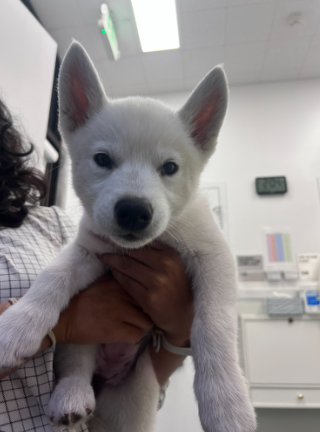 Screenshot 2026-04-06 135227.png