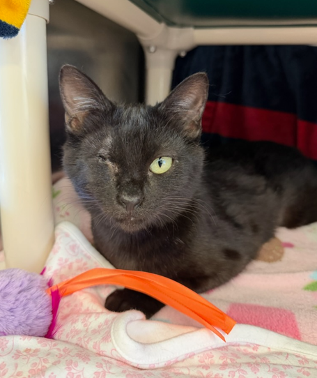 Screenshot 2026-01-12 144753.png