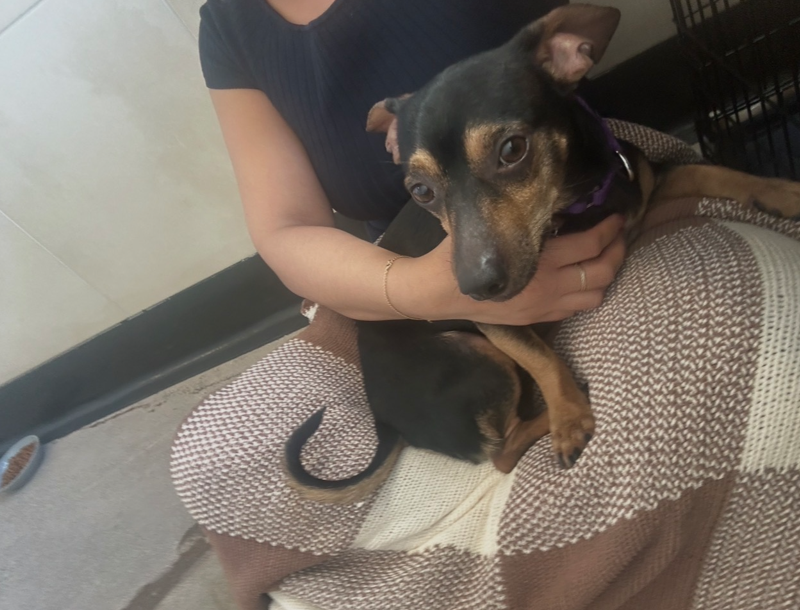 Screenshot 2026-03-06 095604.png