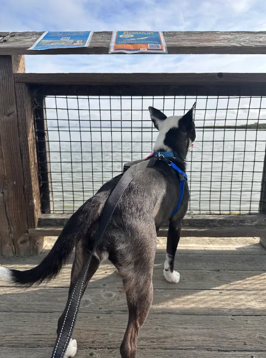 Screenshot 2026-02-16 114751.png