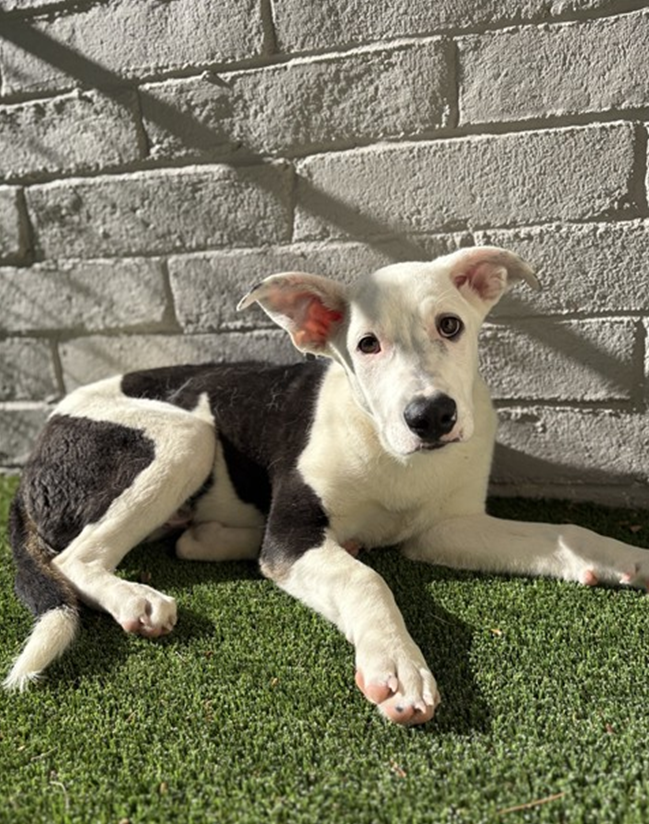 Screenshot 2026-04-16 140249.png