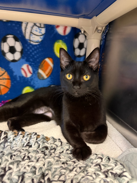 Screenshot 2026-03-02 152440.png