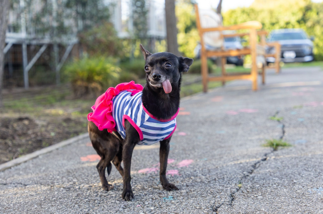 Screenshot 2026-03-20 141322.png