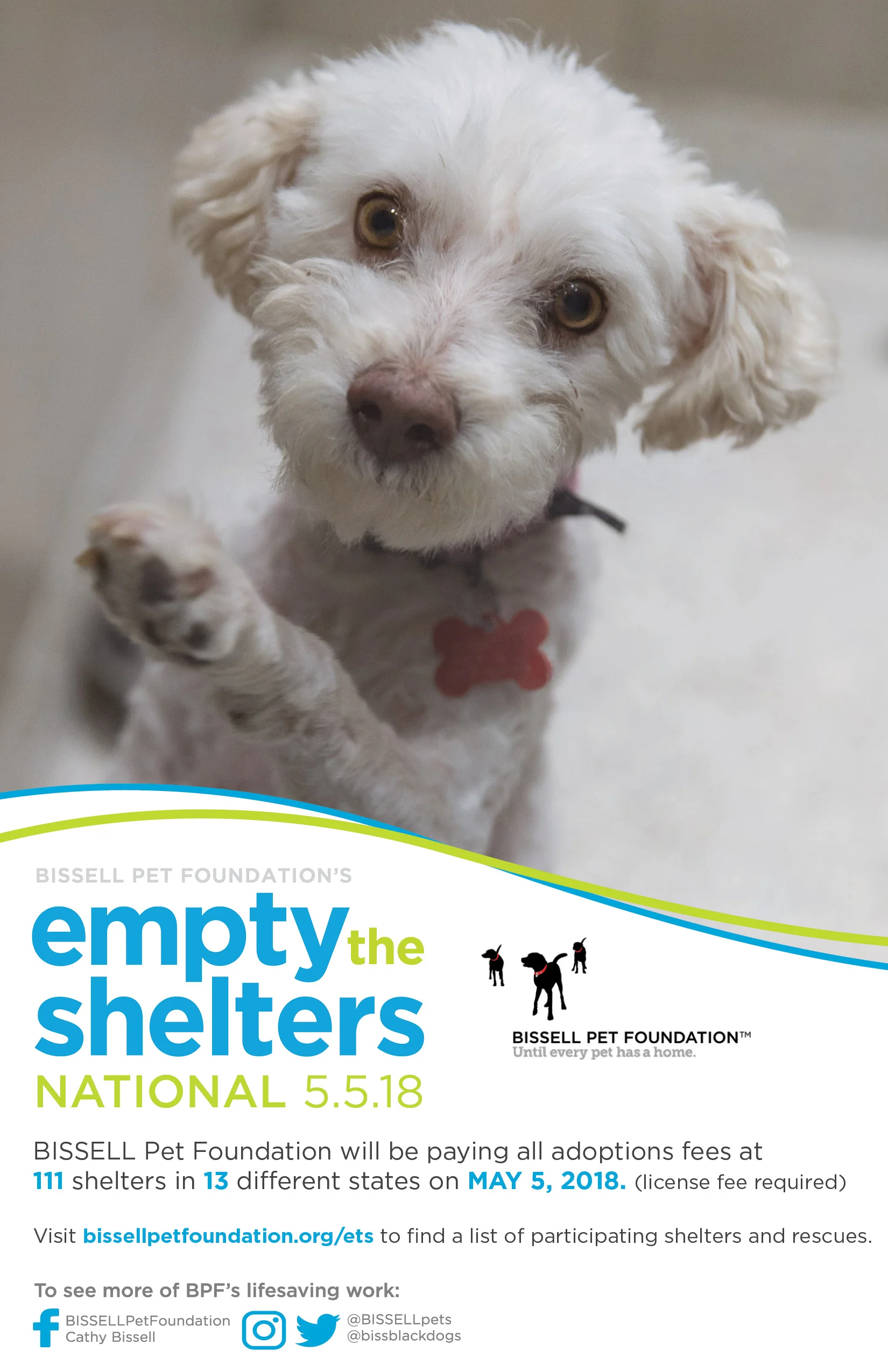 Bissell Pet Foundation Empty the Shelters