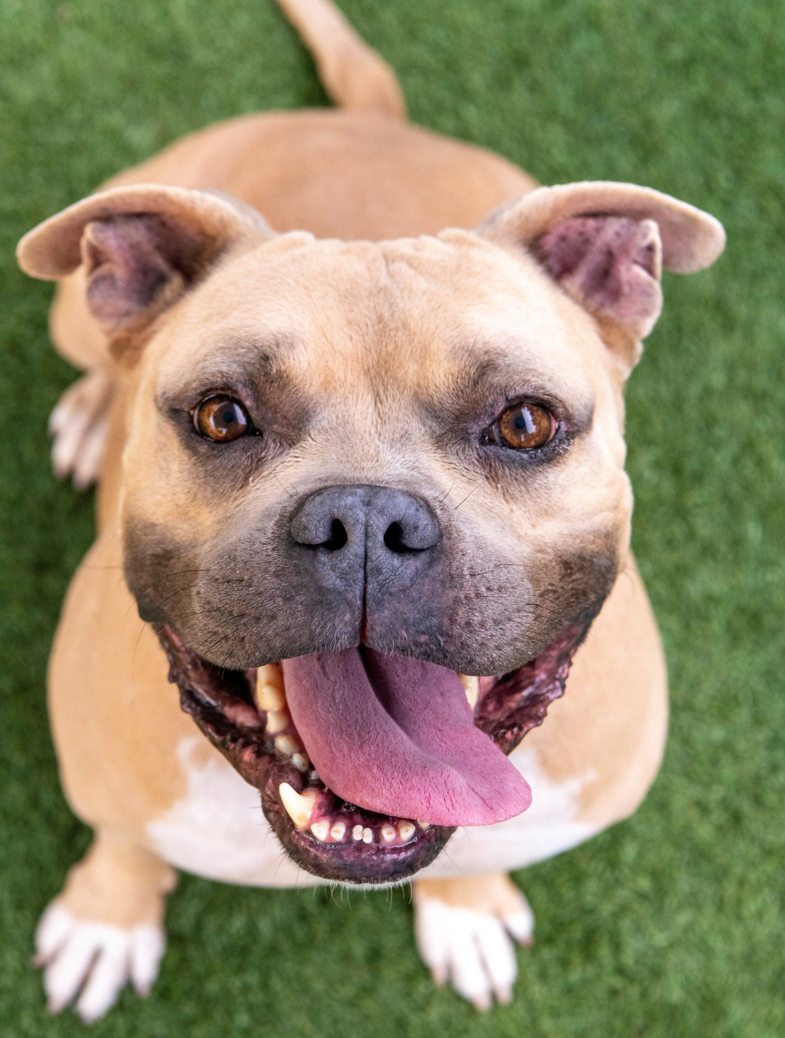 Caspian's Second Chance