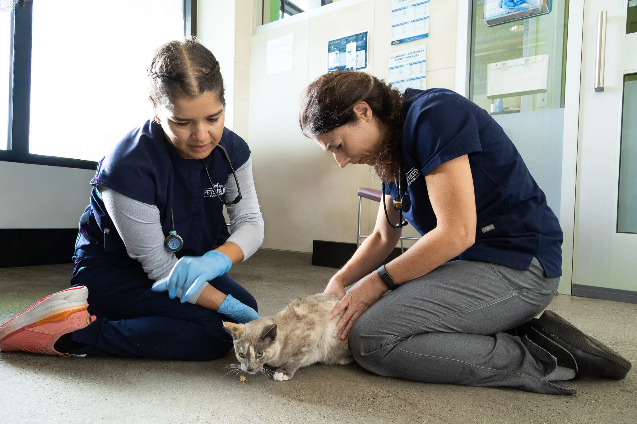 "Care Doesn't Have to Be Out of Reach" - Dr. Stephanie Cataldo