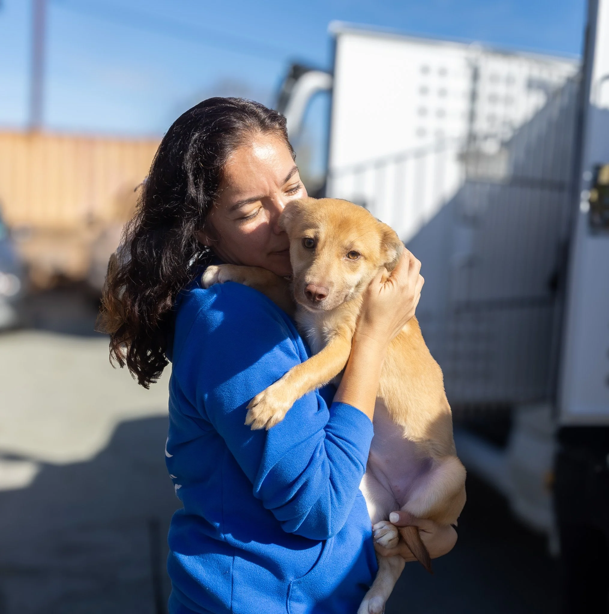 Meet Michelle Suarez: The Heart Behind our Rescue and Behavior Work 