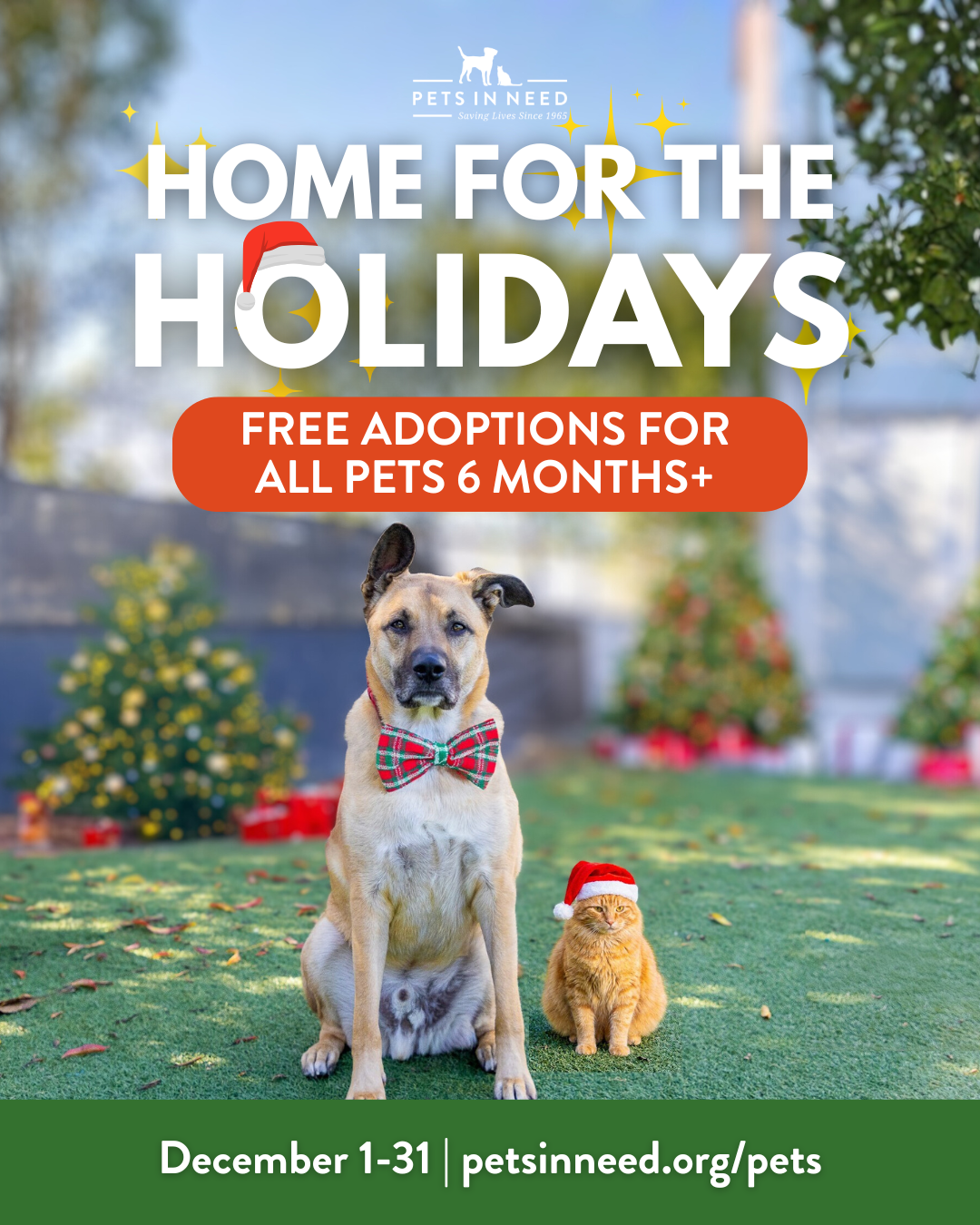 Brian and Karen Fox Home for the Holidays 2025