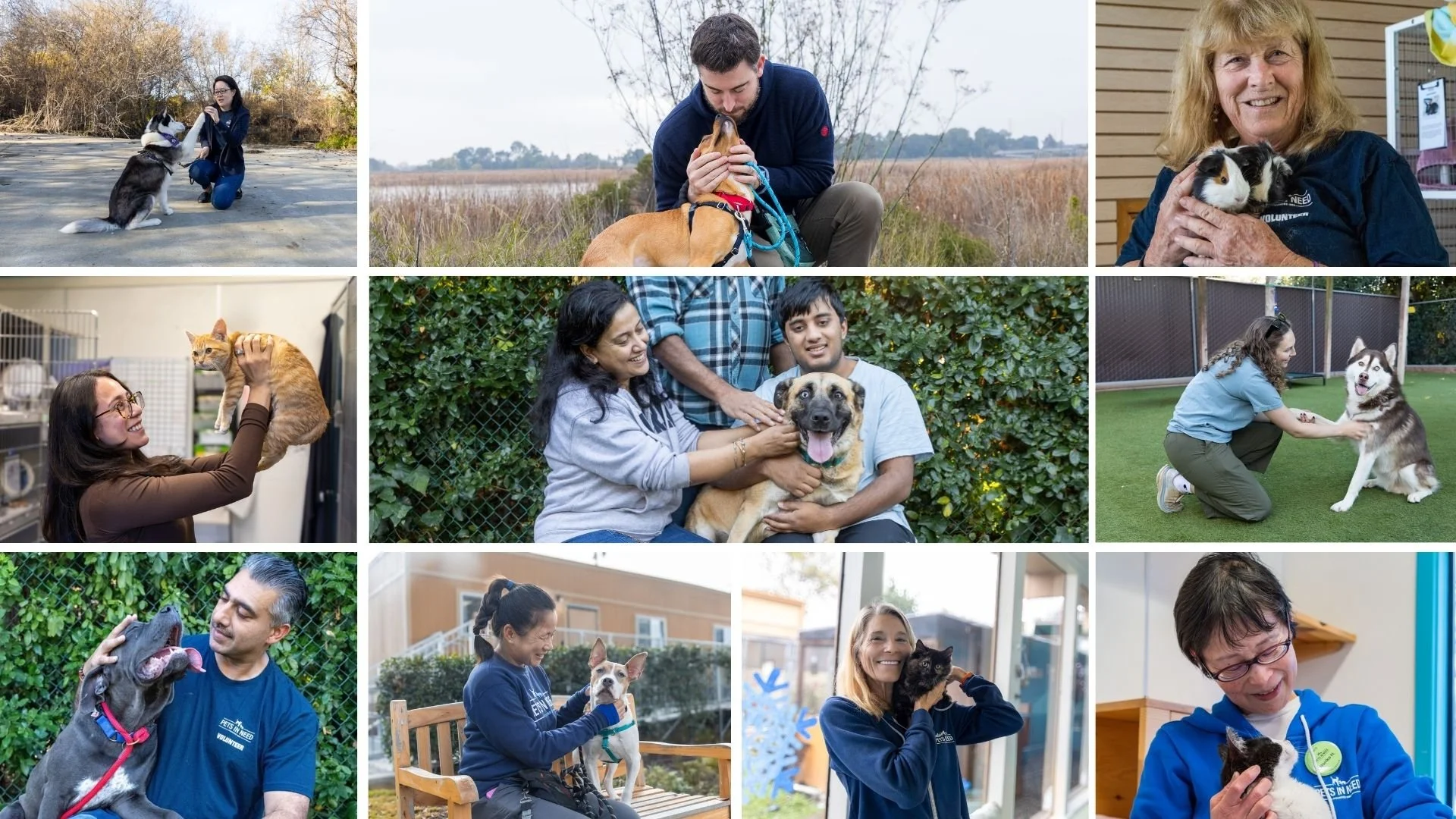 The People Who Show Up: How PIN Volunteers help animals feel safe, seen, and ready for what comes next