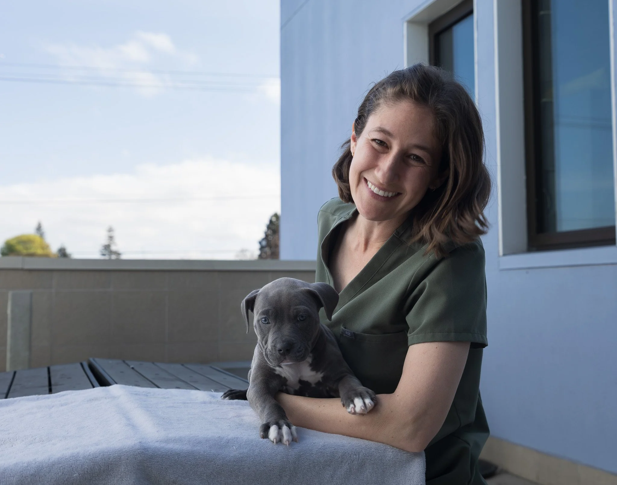 What Our Shelter Vet Wants You to Know About Spay and Neuter&nbsp;