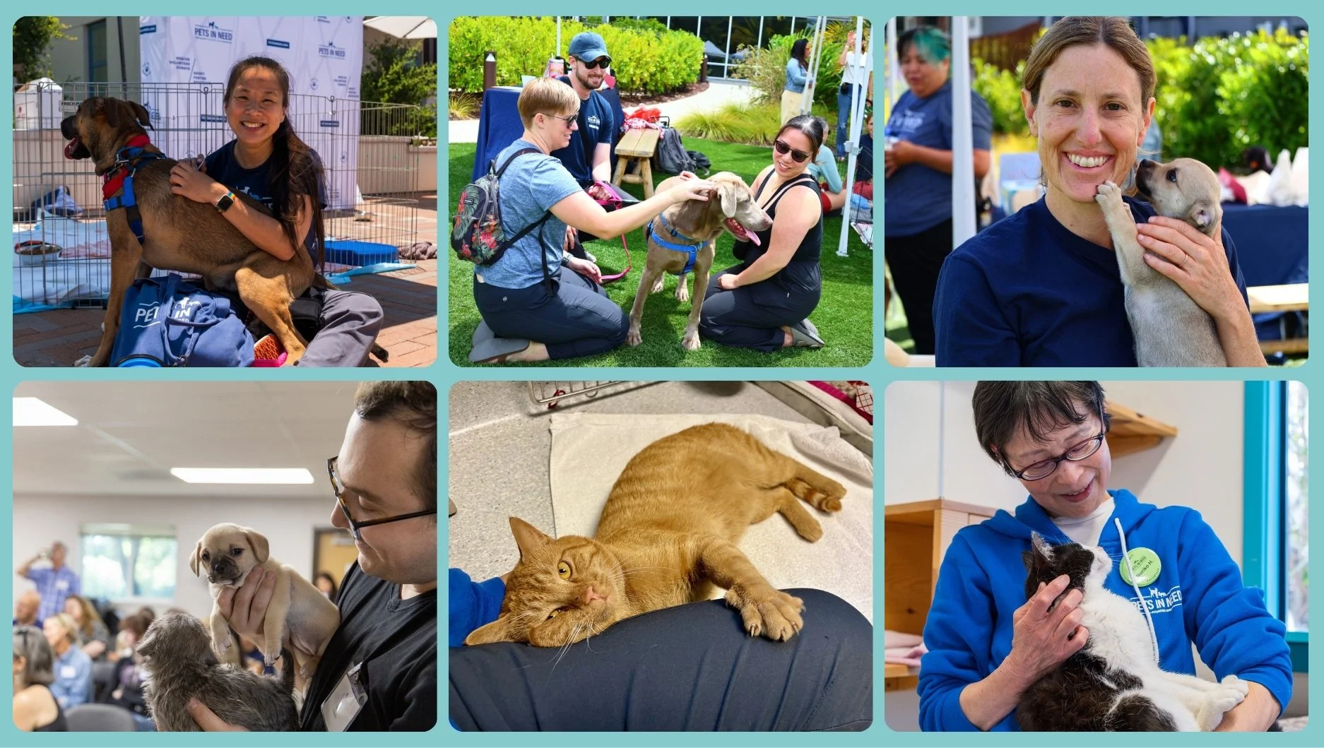 Where It All Begins: The Volunteers Behind Every Second Chance