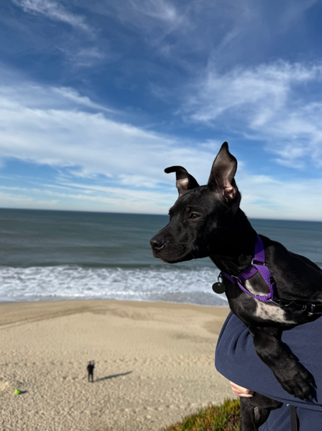 Screenshot 2026-01-17 170841.png