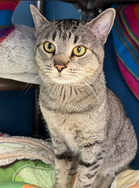 Screenshot 2026-04-13 145046.png