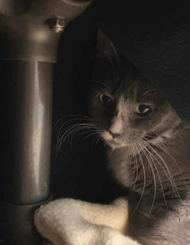 Screenshot 2026-01-08 113637.png