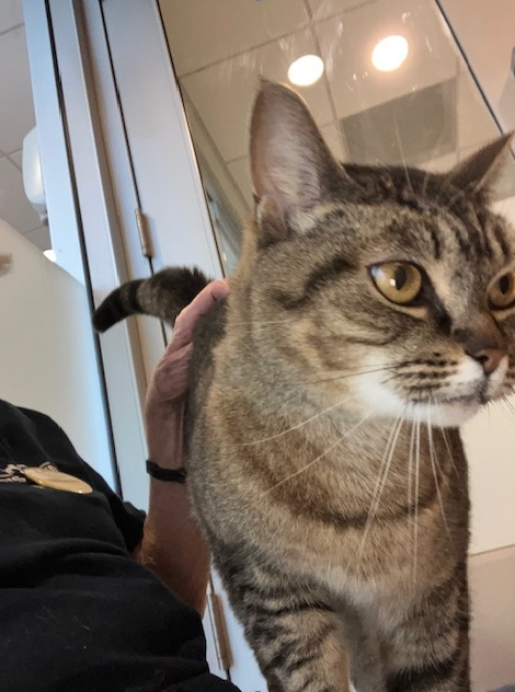 Screenshot 2026-03-05 134549.png