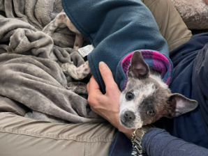 Screenshot 2026-04-13 135603.png