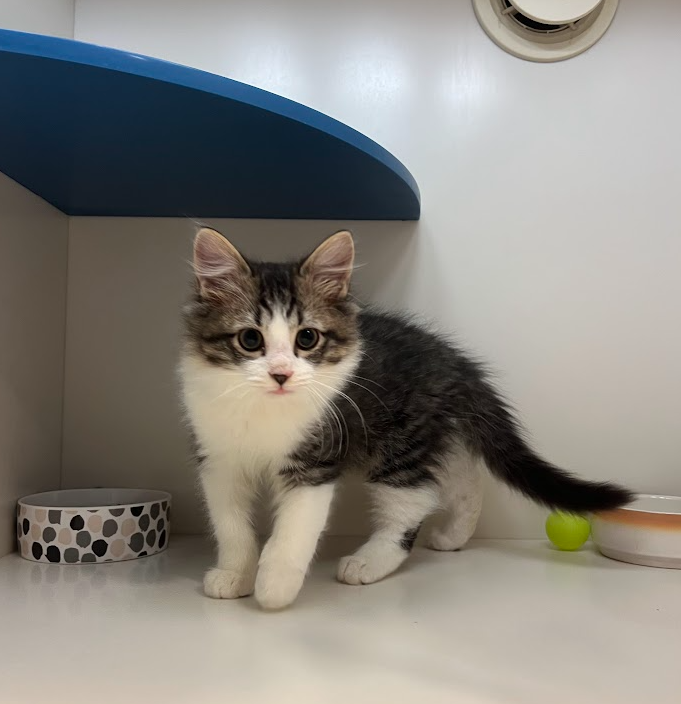 Screenshot 2026-01-09 150831.png