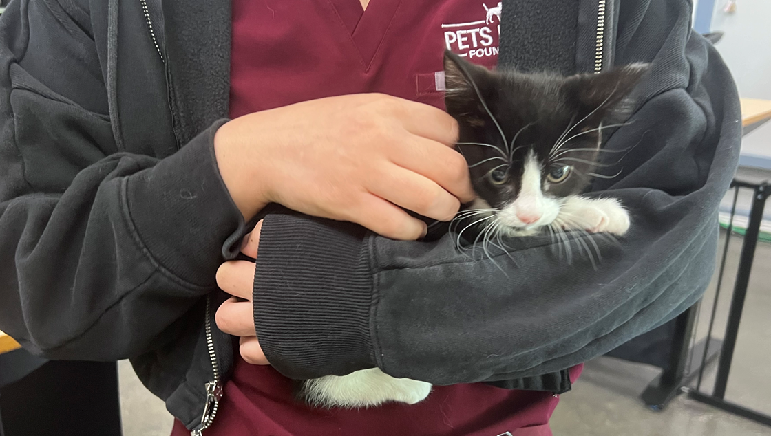 Screenshot 2026-03-23 114759.png